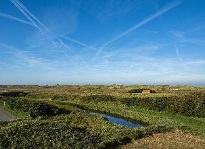 Guest house 452719 - Holiday property Noordzeekust - Duinerei C301/C302 | Sauna | 8 Pers