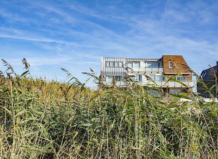 Guest house 452719 - Holiday property Noordzeekust - Duinerei C301/C302 | Sauna | 8 Pers