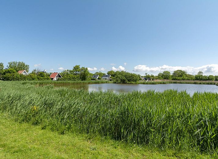 Guest house 452723 - Holiday property Noordzeekust - Sandepark 113