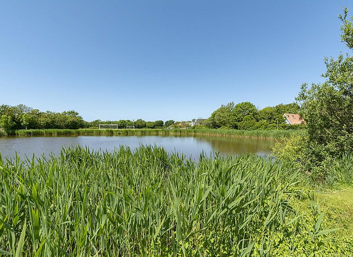 Guest house 452723 - Holiday property Noordzeekust - Sandepark 113