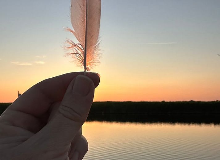 Detail van interieur in Vakantiehuisje in Schagerbrug, Noordzeekust, Noord-Holland met moderne stoel en opbergkast.