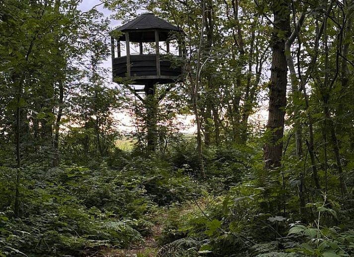 Detail van interieur in Vakantiehuisje in Schagerbrug, Noordzeekust, Noord-Holland met moderne stoel en opbergkast.