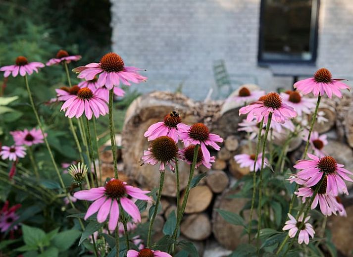 Eethoek in Vakantiehuisje in Schagerbrug, Noordzeekust, Noord-Holland met uitzicht op de groene omgeving.