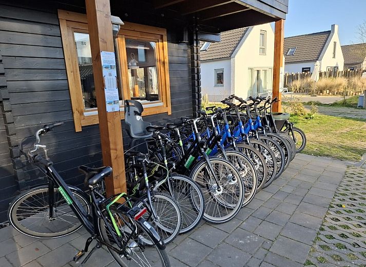 Guest house 452948 - Holiday property Noordzeekust - 140019