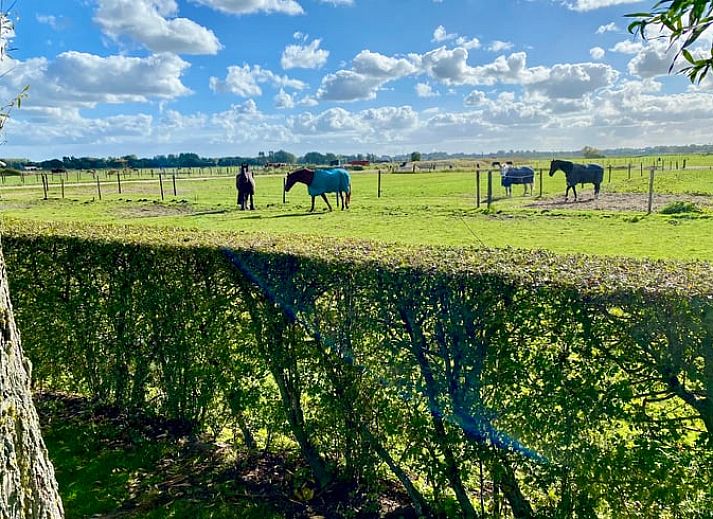 Guest house 453044 - Holiday property Noordzeekust - Vakantiehuisje in Bergen NH