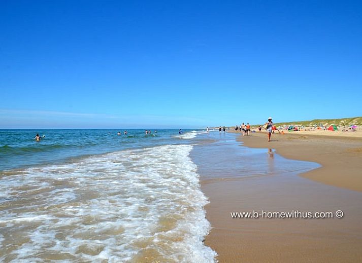 Guest house 453044 - Holiday property Noordzeekust - Vakantiehuisje in Bergen NH