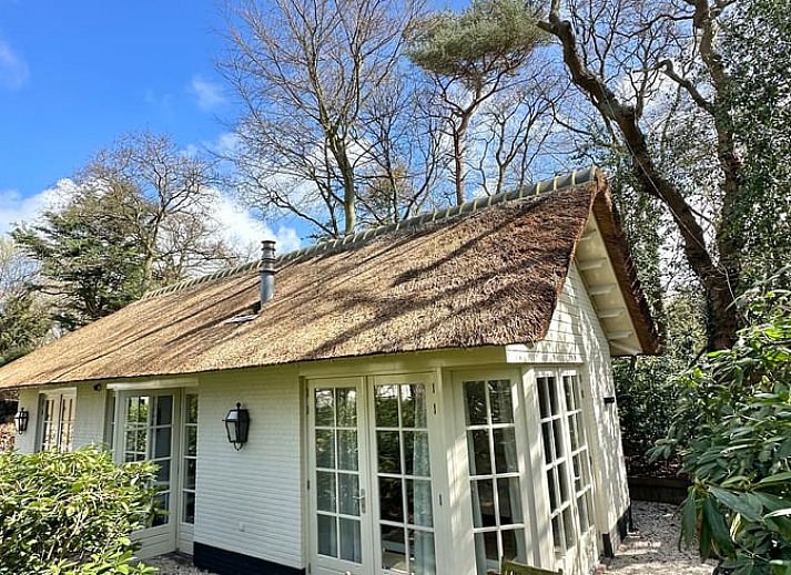 Guest house 453045 - Holiday property Noordzeekust - Vakantiehuis in Bergen