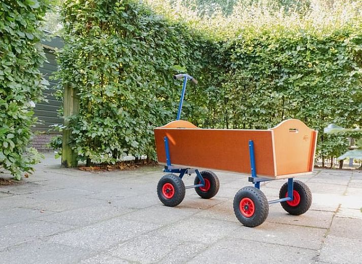 Guest house 453046 - Holiday property Noordzeekust - Huisje in BERGEN