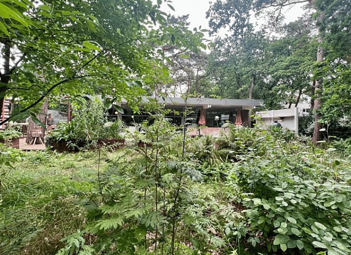 Gezellige binnenruimte van Huisje in BERGEN, vakantiehuis in Bergen, Noordzeekust, met moderne inrichting en veel natuurlijk licht.