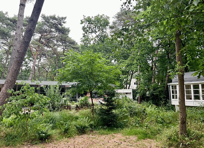 Sfeervol verlicht terras van Huisje in BERGEN, vakantiehuis in Bergen, Noordzeekust, ideaal voor avonden buiten.