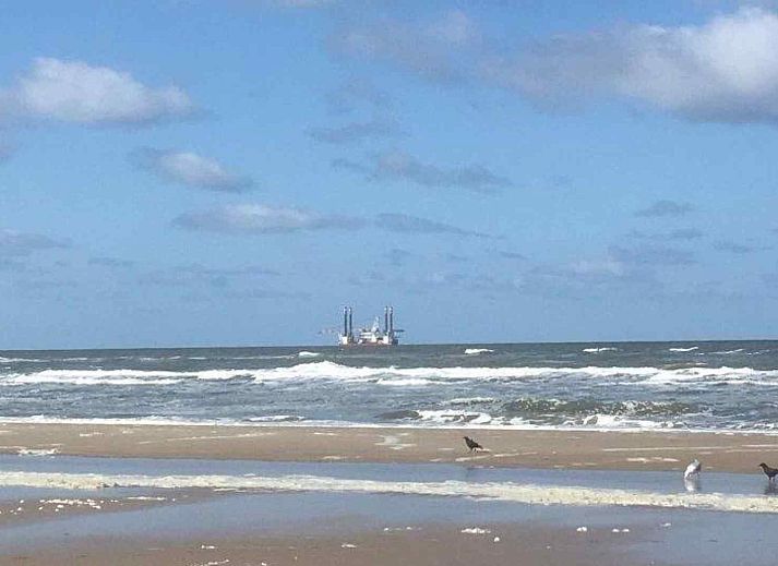 Prachtig uitzicht op de Noordzeekust bij vakantiehuis NH170 in Bergen, Noord-Holland.
