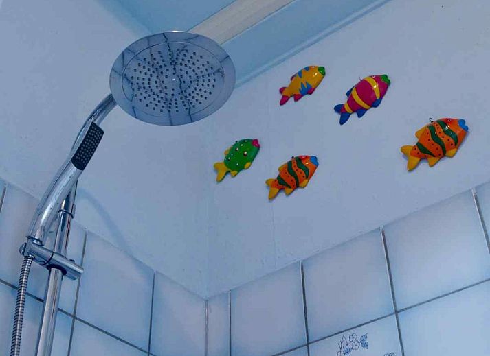 Prachtig uitzicht op de Noordzeekust bij vakantiehuis NH170 in Bergen, Noord-Holland.