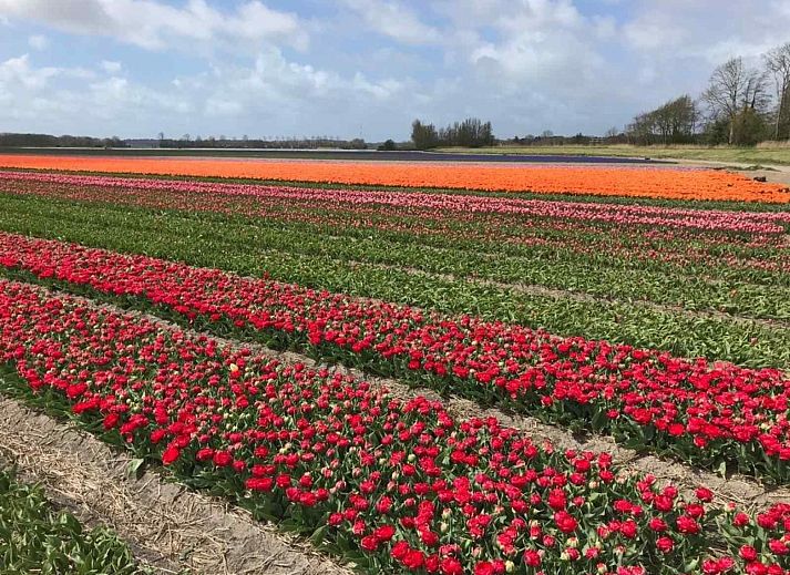 Gezellige eetruimte in NH170 vakantiehuis in Bergen, Noordzeekust, Noord-Holland.