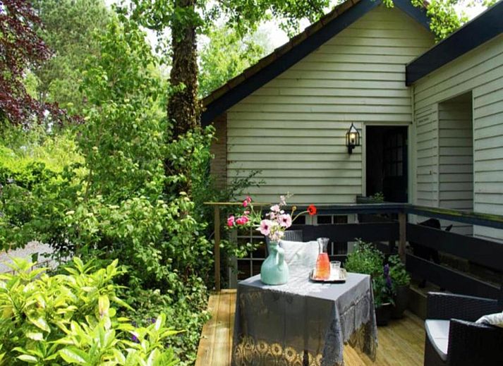 Geniet van het terras bij De Egelhut, een vakantiehuis in Bergen aan de Noordzeekust, omringd door weelderige natuur en rust.