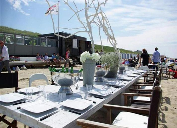 Geniet van het terras van De Egelhut, een charmant vakantiehuis in het groene Bergen, Noordzeekust, Noord-Holland.