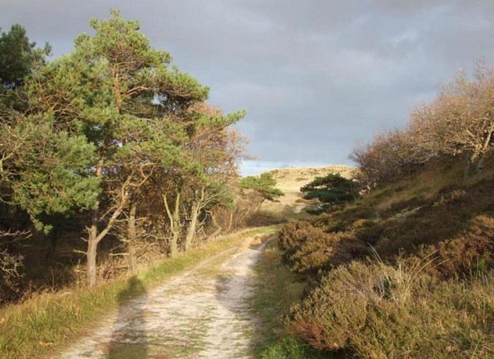 Unterkunft 453074 - Ferienhaus Noordzeekust - Vlinder