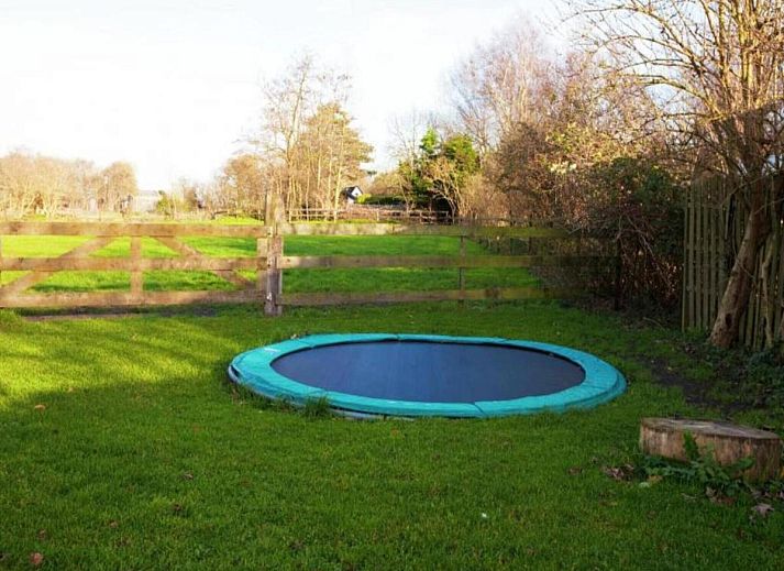 Unterkunft 453074 - Ferienhaus Noordzeekust - Vlinder