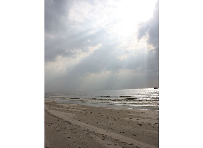 Verblijf 453080 - Vakantiewoning Noordzeekust - 242590
