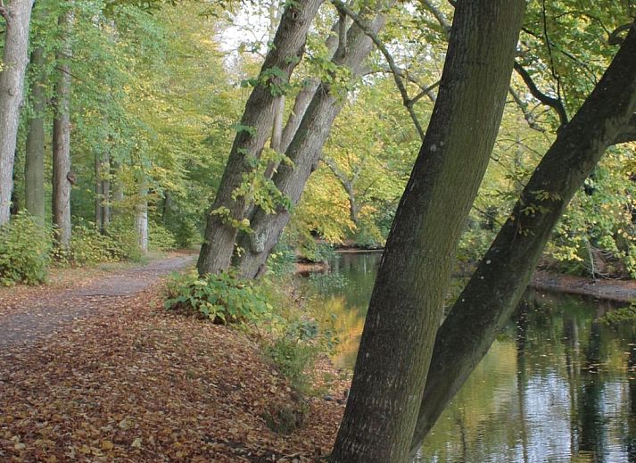Verblijf 453080 - Vakantiewoning Noordzeekust - 242590