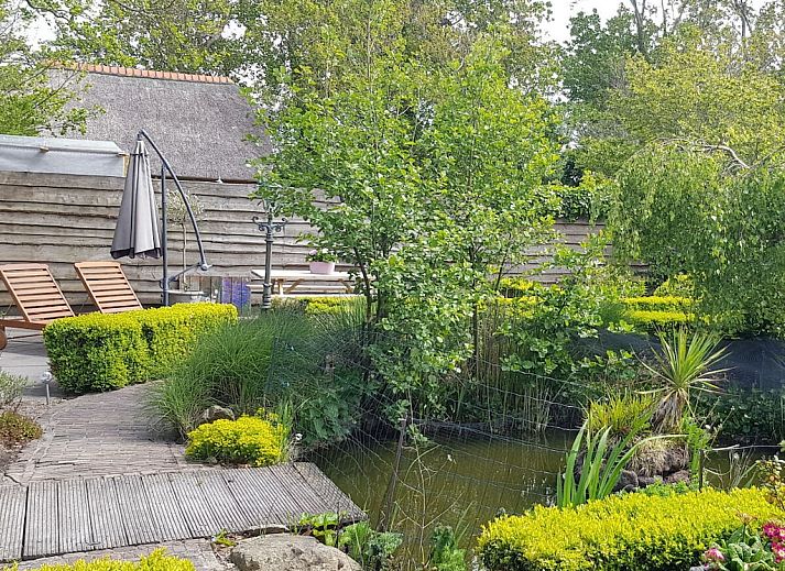 Guest house 453205 - Holiday property Noordzeekust - 232367