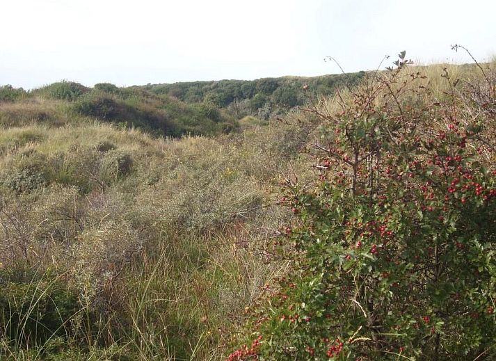 Verblijf 453311 - Vakantiewoning Noordzeekust - Vakantiehuis Strandhaus direkt am Meer