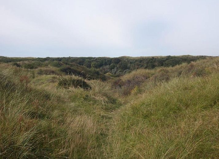 Verblijf 453311 - Vakantiewoning Noordzeekust - Vakantiehuis Strandhaus direkt am Meer