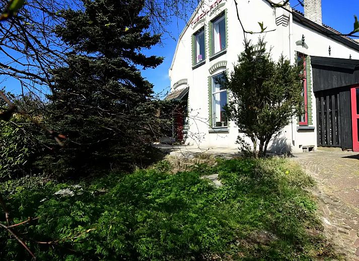 Unterkunft 453312 - Ferienhaus Noordzeekust - Villa Tusculanum: Aan de duinrand