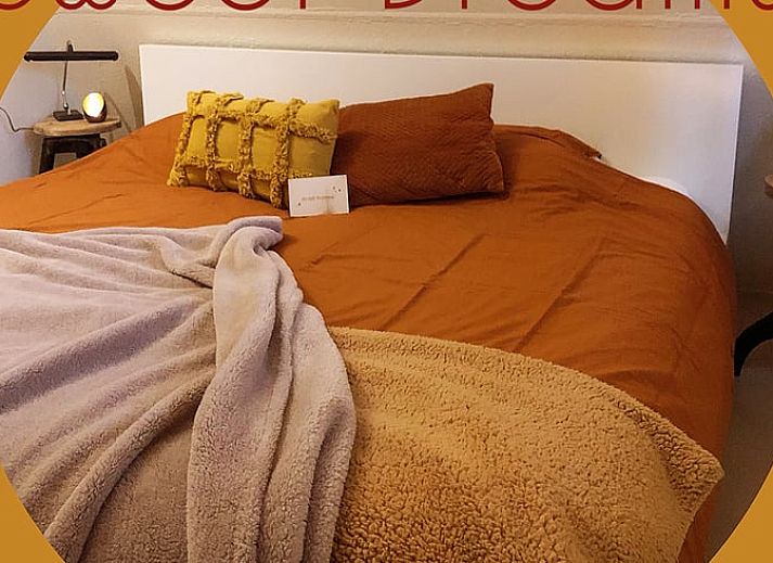 Guest house 453708 - Holiday property Noordzeekust - Vakantiehuisje in Sint Maartensvlotbrug