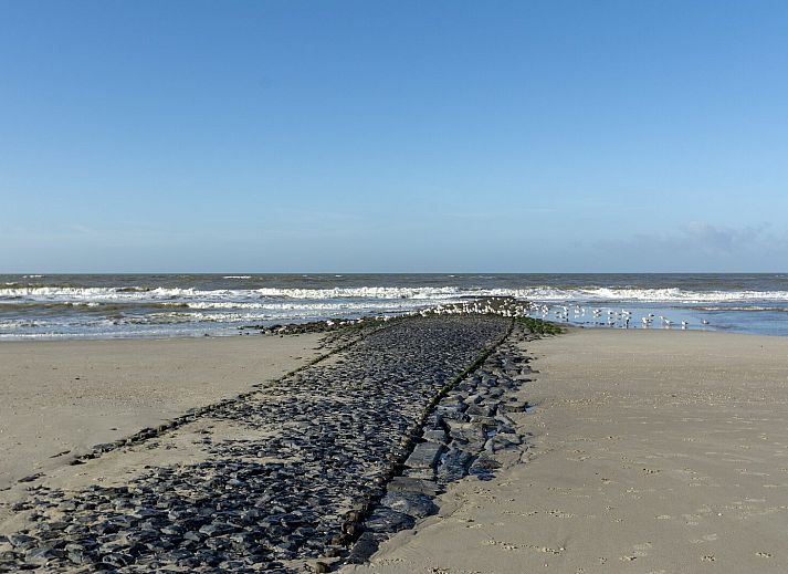 Guest house 453711 - Holiday property Noordzeekust - Suite Uitwaayer