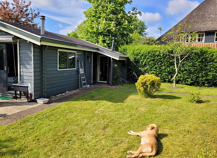 Guest house 453715 - Holiday property Noordzeekust - Vakantiehuis Knusperhaus