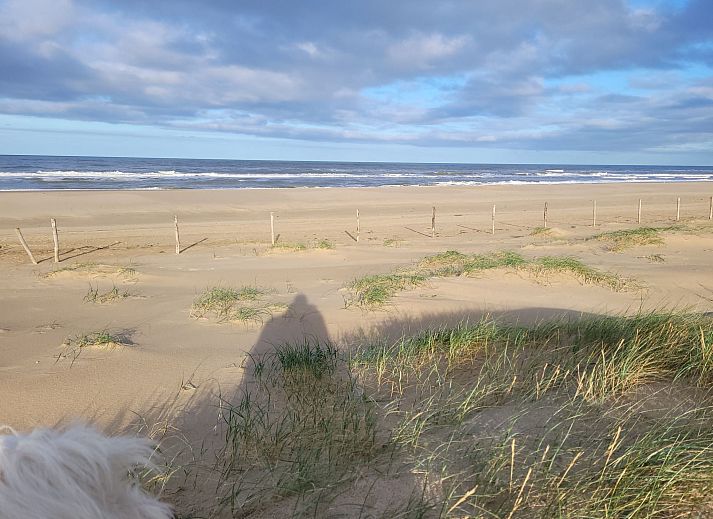 Guest house 453715 - Holiday property Noordzeekust - Vakantiehuis Knusperhaus