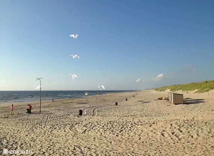 Unterkunft 453717 - Bungalow Noordzeekust - Duinland 138