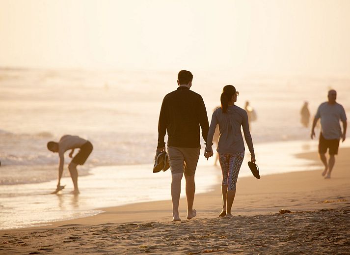 Guest house 453744 - Holiday property Noordzeekust - Beach Bungalow Sint aan Zee