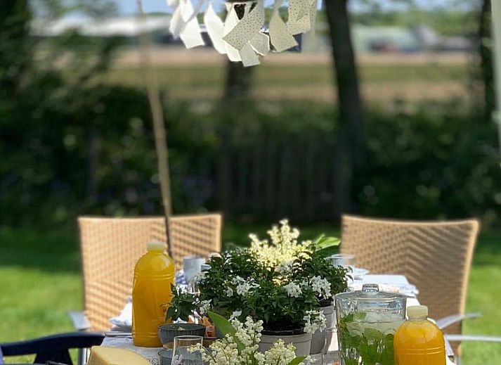 Guest house 453744 - Holiday property Noordzeekust - Beach Bungalow Sint aan Zee