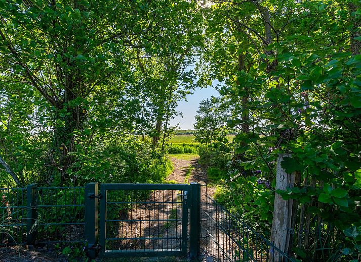 Guest house 453744 - Holiday property Noordzeekust - Beach Bungalow Sint aan Zee