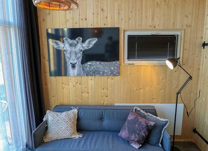 Unterkunft 453810 - Ferienhaus Noordzeekust - Tiny House