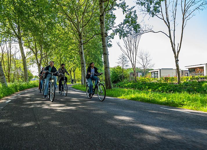 Verblijf 453814 - Vakantiewoning Noordzeekust - EuroParcs Buitenhuizen