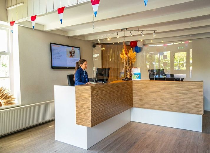 Unterkunft 453815 - Ferienhaus Noordzeekust - 782001