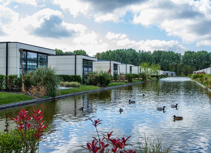 Unterkunft 453839 - Ferienhaus Noordzeekust - Vakantiehuis L'Avenir 4