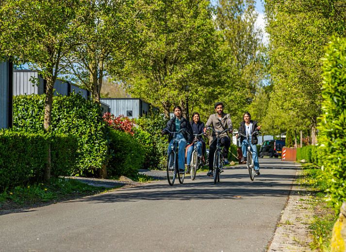 Guest house 453847 - Holiday property Noordzeekust - Vakantiehuis Cube Maximaal 4