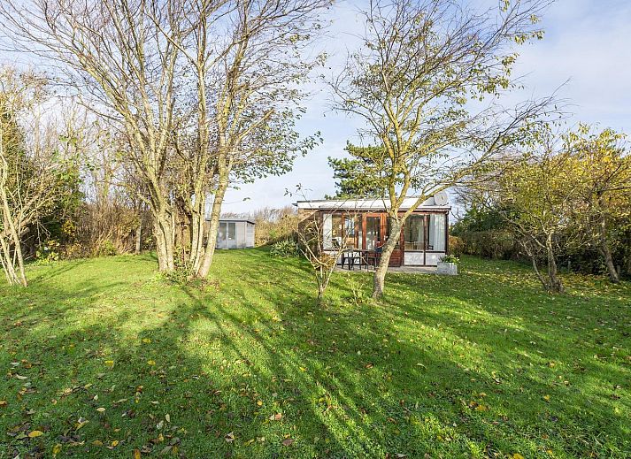 Verblijf 4540108 - Vakantiewoning Noordzeekust - Orchis 4