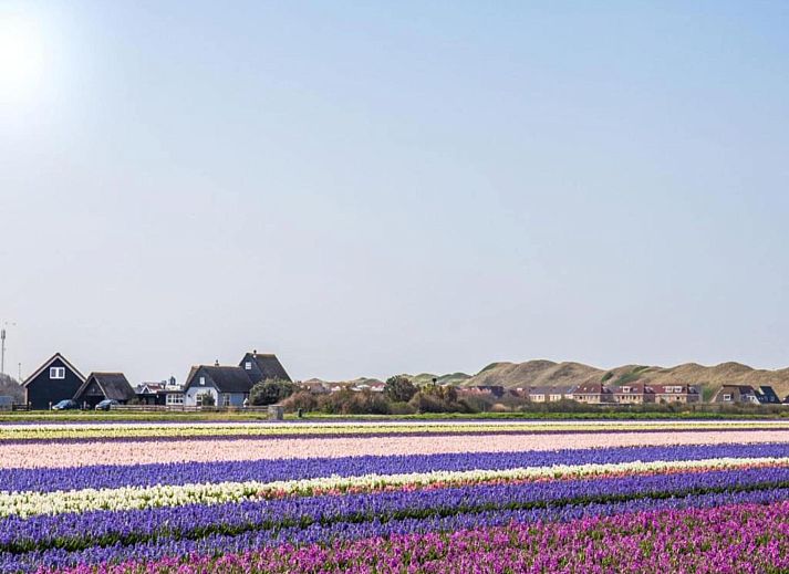 Unterkunft 4540250 - Appartement Noordzeekust - Strandslag 193