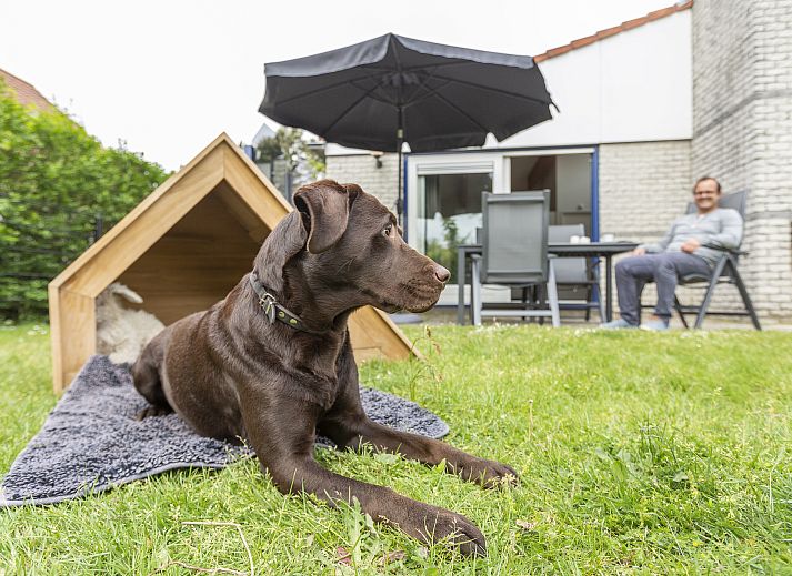 Sonnenterrasse des Beach Resort Ooghduyne, 4-Personen-Hundevilla in Julianadorp aan Zee, Nordseekueste.