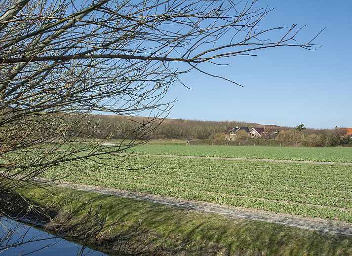 Unterkunft 454029 - Ferienhaus Noordzeekust - Résidence Juliana 21