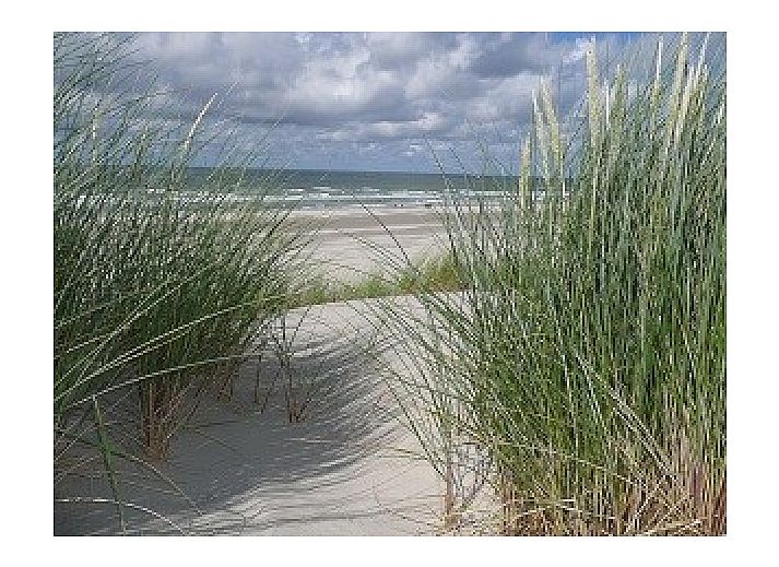 Groene tuin en zijaanzicht van bungalow Duinzicht aan de Noordzeekust, Julianadorp aan Zee.