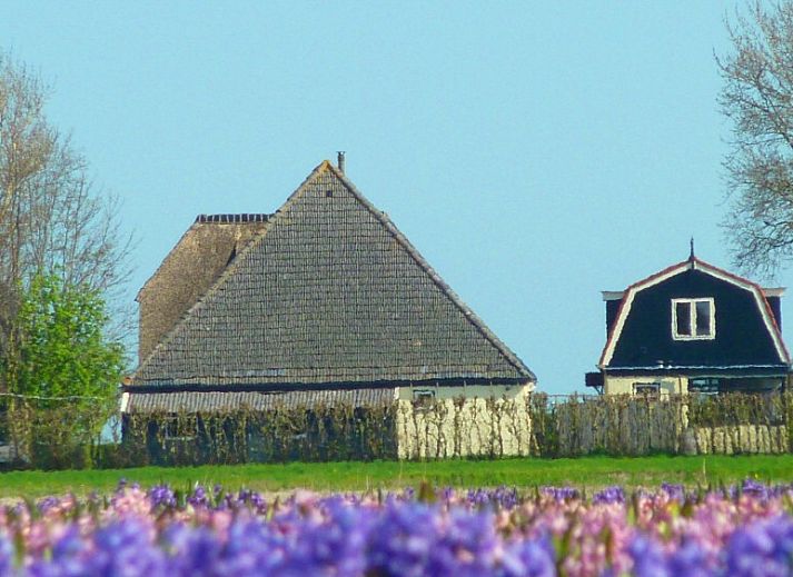 Verblijf 454106 - Vakantiewoning Noordzeekust - 100 jaar oude stolpboerderij