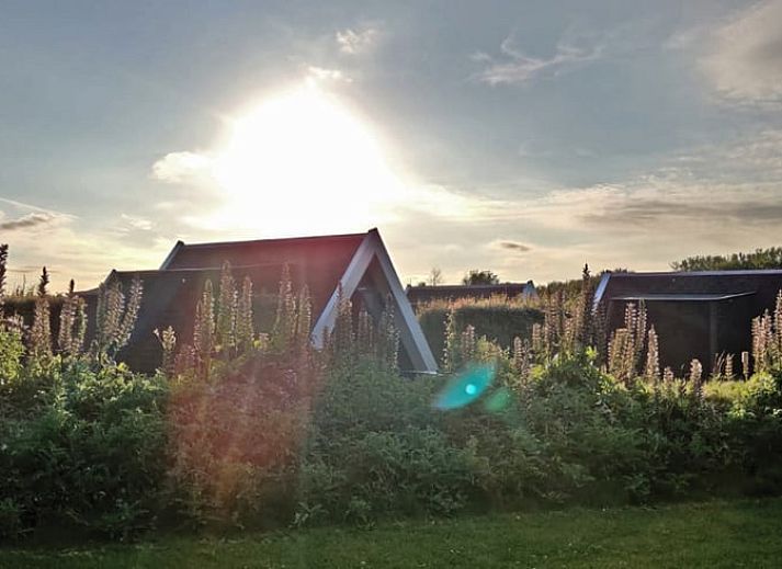 Schitterende zonsopgang bij Huisje in Warmenhuizen, Noordzeekust, Noord-Holland vakantiehuis.