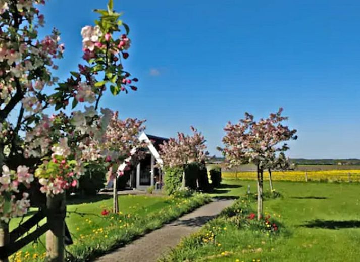 Ingang van Huisje in Warmenhuizen, Noordzeekust, Noord-Holland vakantiehuis.