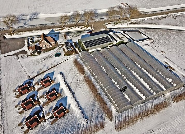 Unterkunft 454207 - Ferienhaus Noordzeekust - Huisje in Warmenhuizen