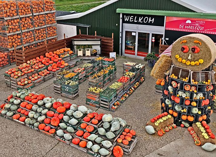 Unterkunft 454207 - Ferienhaus Noordzeekust - Huisje in Warmenhuizen